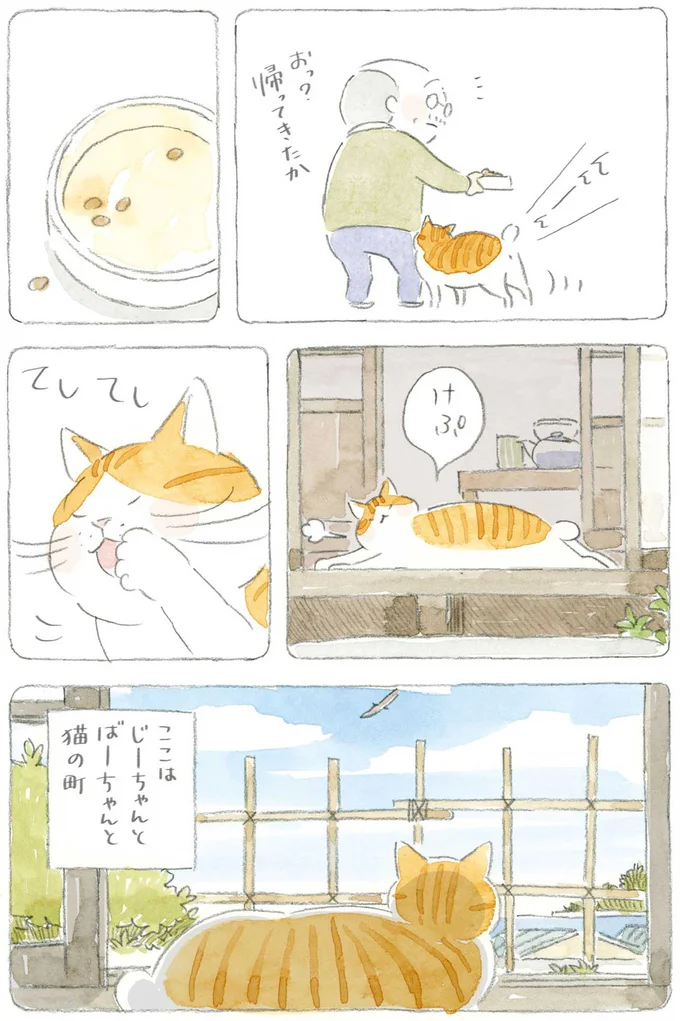 『ねことじいちゃん』6～11 15743725.webp