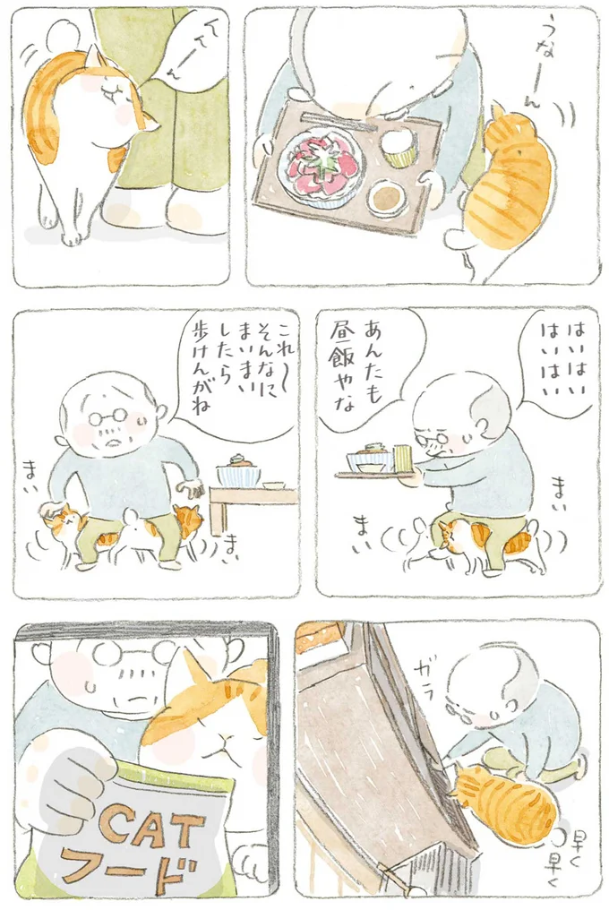 『ねことじいちゃん』6～11 15743777.webp