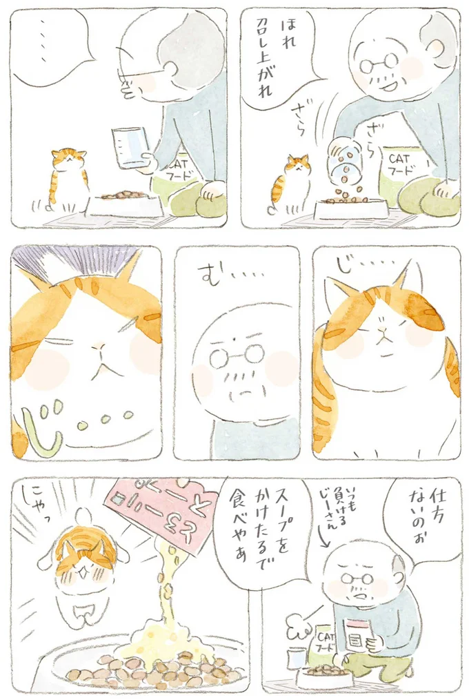 『ねことじいちゃん』6～11 15743778.webp