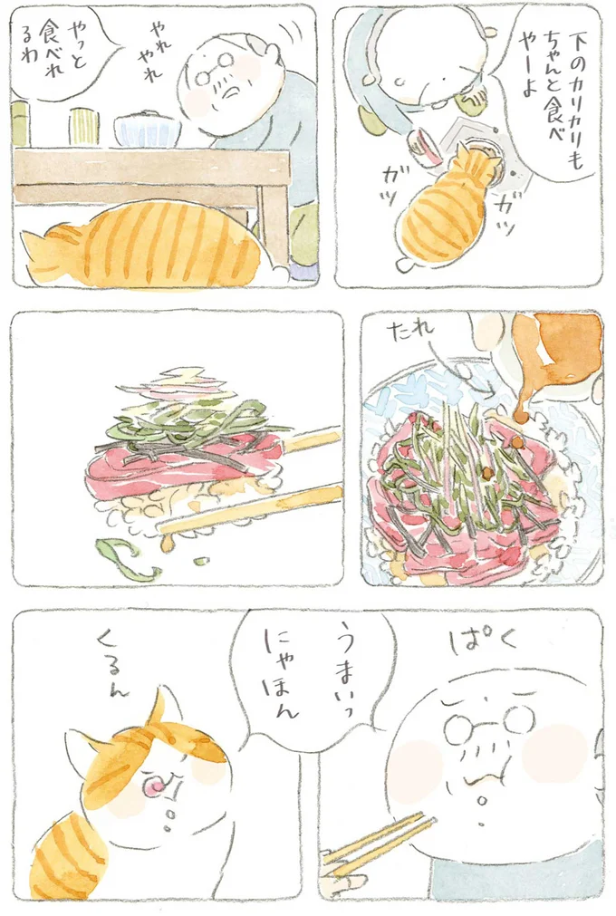 『ねことじいちゃん』6～11 15743779.webp
