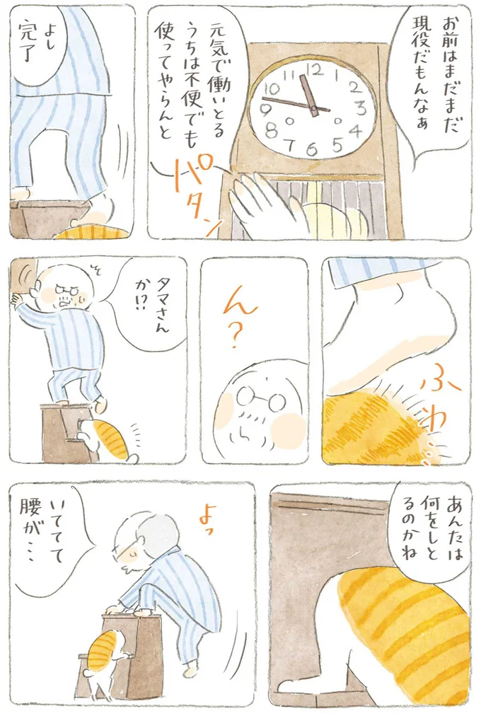 『ねことじいちゃん』6～11 15743788.webp