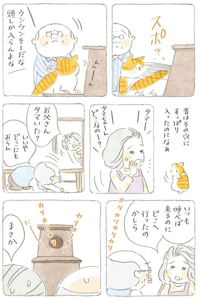 『ねことじいちゃん』6～11 15743789.webp