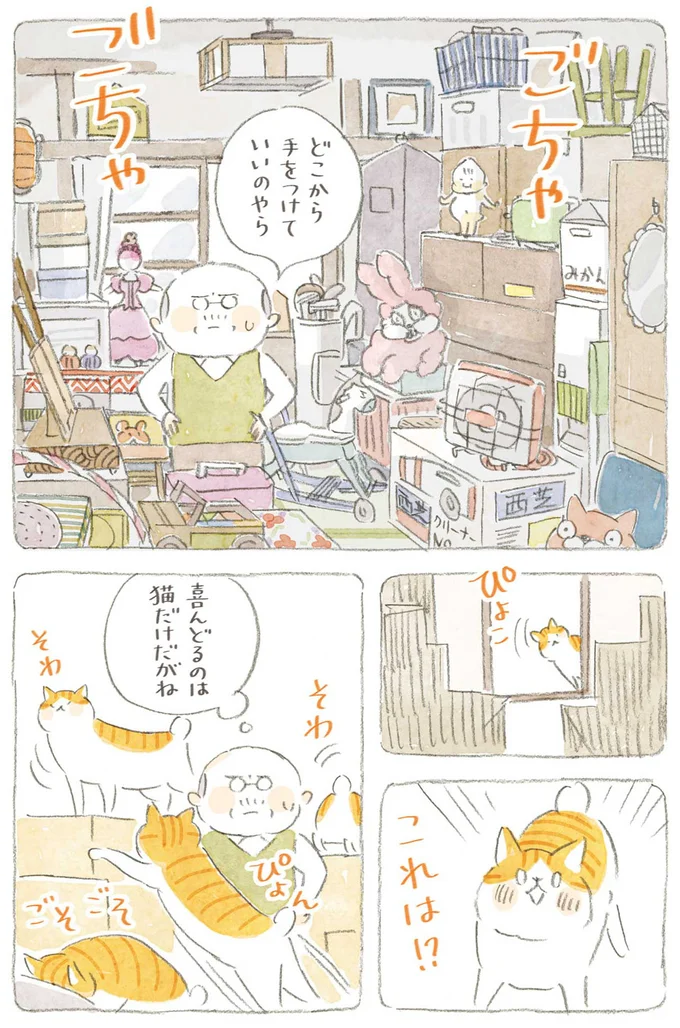 『ねことじいちゃん』6～11 15743818.webp