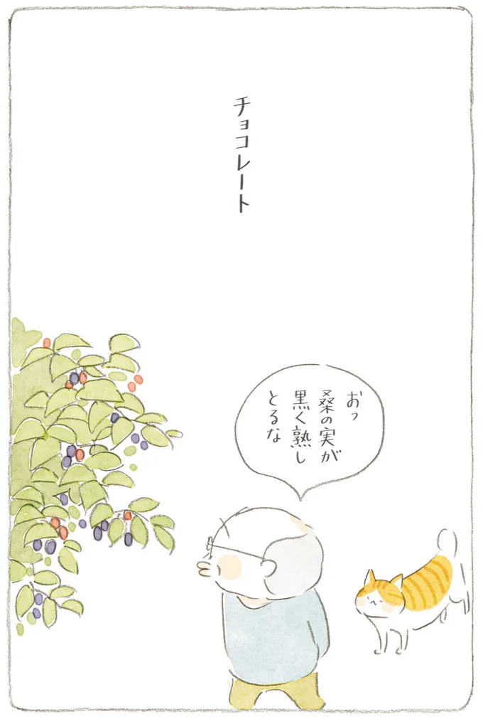 『ねことじいちゃん』6～11 15743823.webp