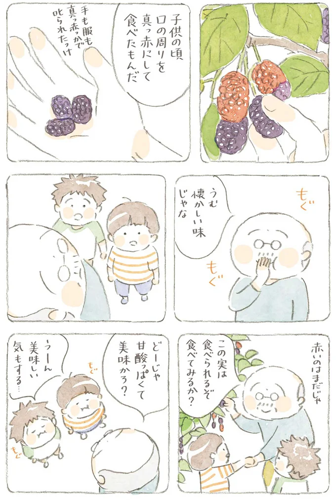 『ねことじいちゃん』6～11 15743824.webp