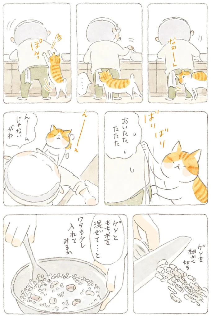 『ねことじいちゃん』6～11 15747789.webp