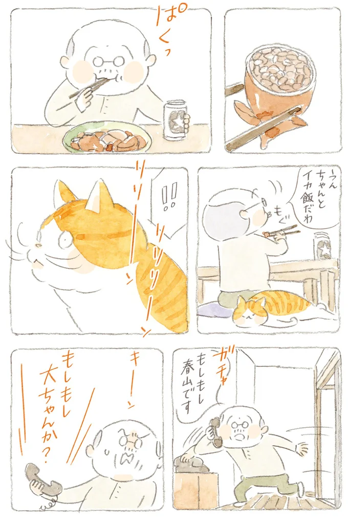 『ねことじいちゃん』6～11 15747792.webp