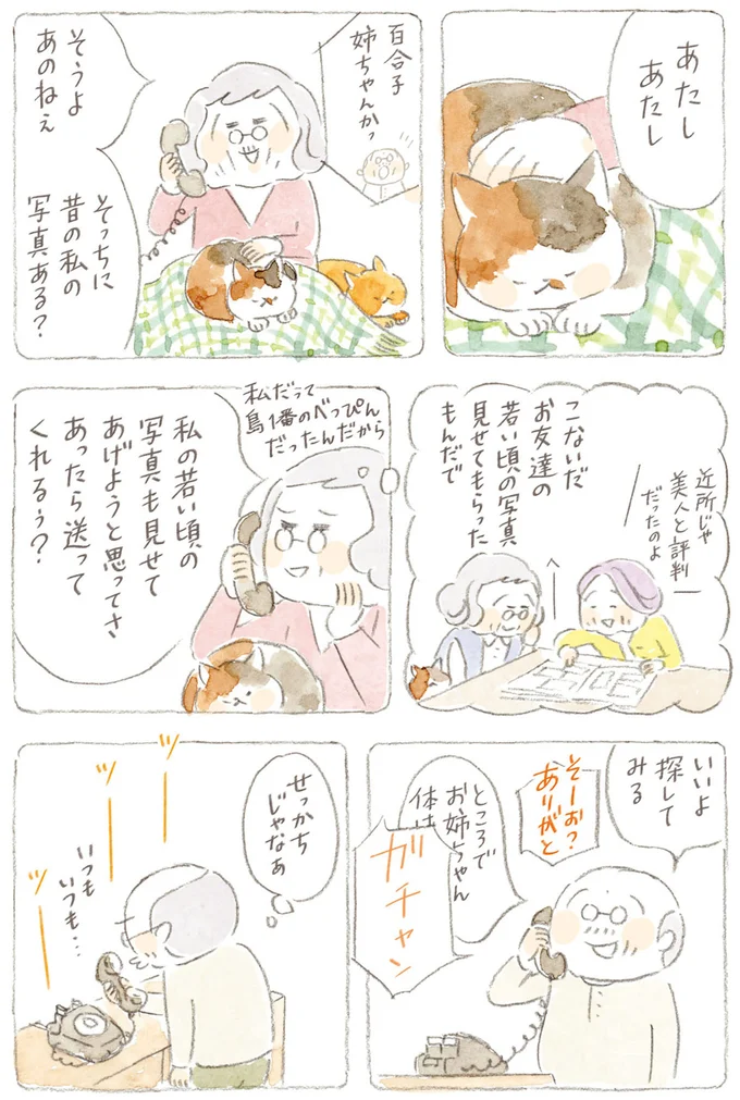 『ねことじいちゃん』6～11 15747793.webp