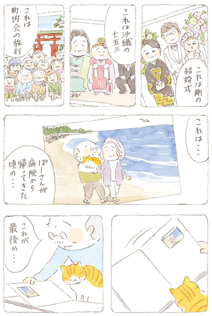 『ねことじいちゃん』6～11 15747870.webp