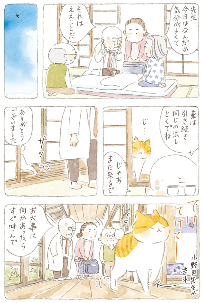 『ねことじいちゃん』6～11 15747881.webp