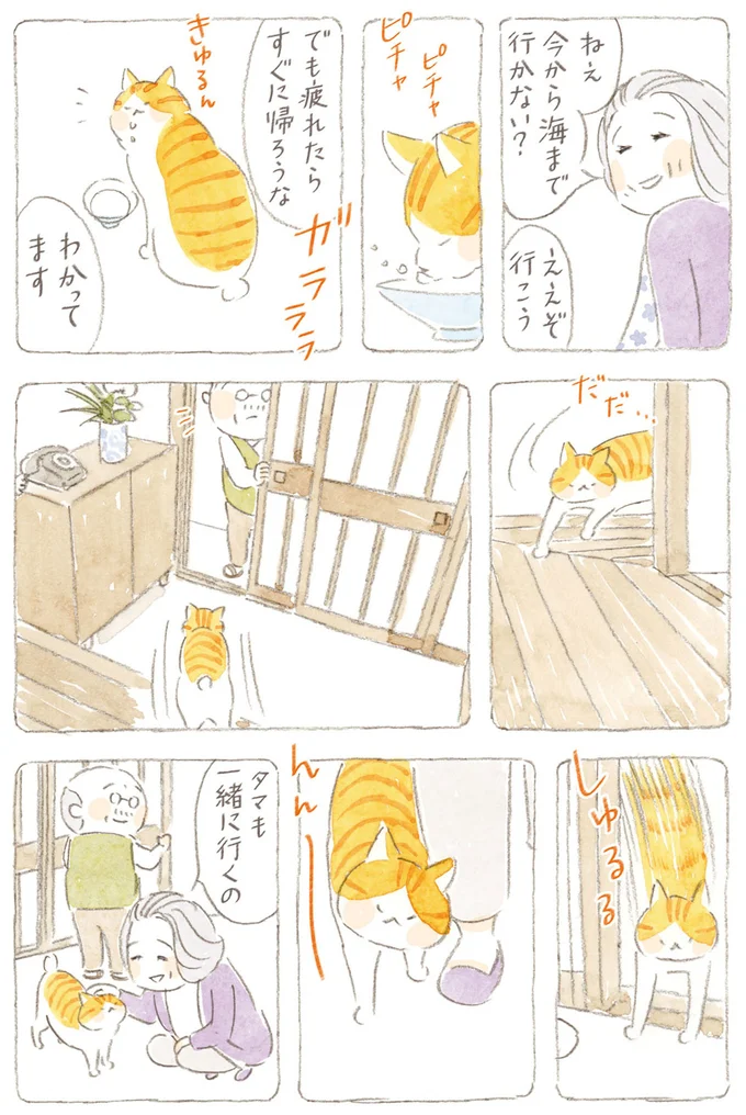 『ねことじいちゃん』6～11 15747884.webp
