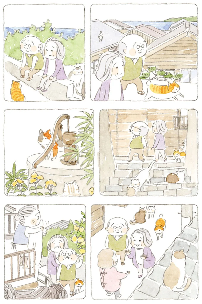『ねことじいちゃん』6～11 15747885.webp