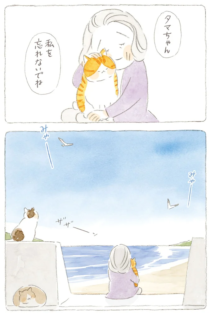『ねことじいちゃん』6～11 15747887.webp