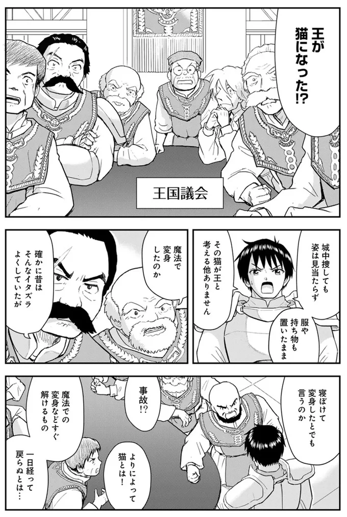 『王が猫になった』 15749235.webp