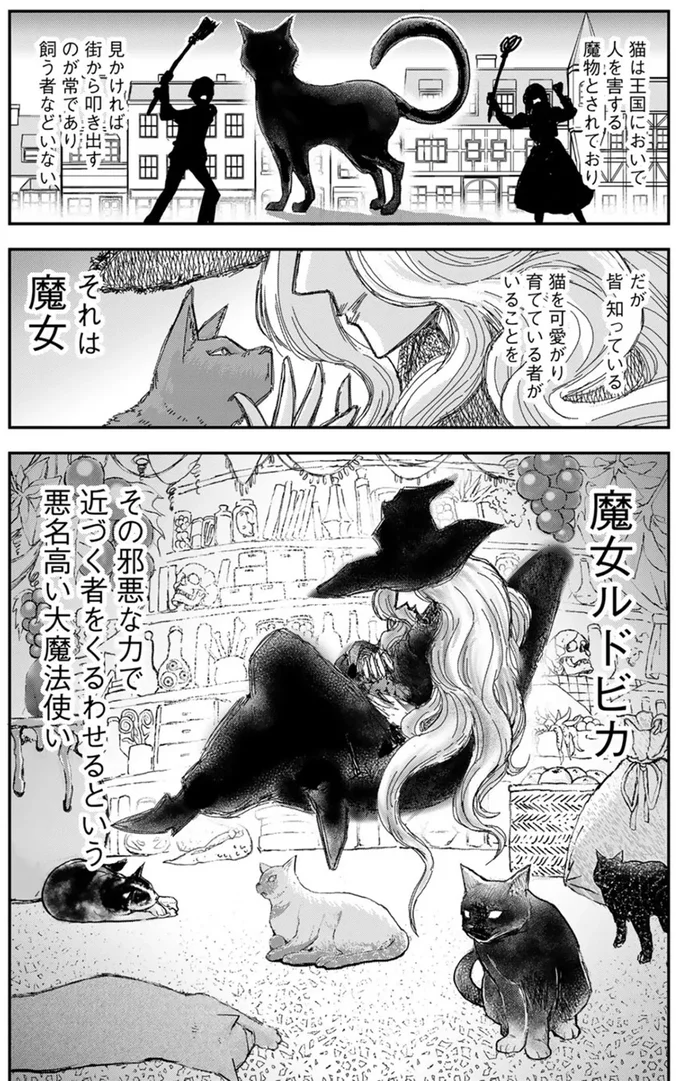 『王が猫になった』 15749238.webp