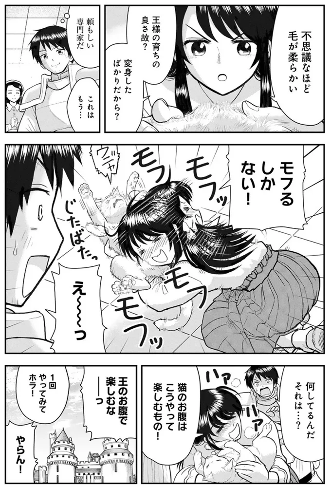 『王が猫になった』 15749353.webp