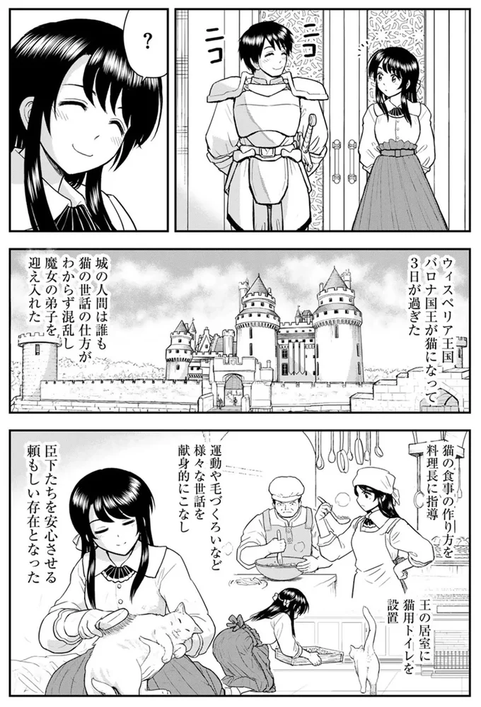 『王が猫になった』 15749428.webp