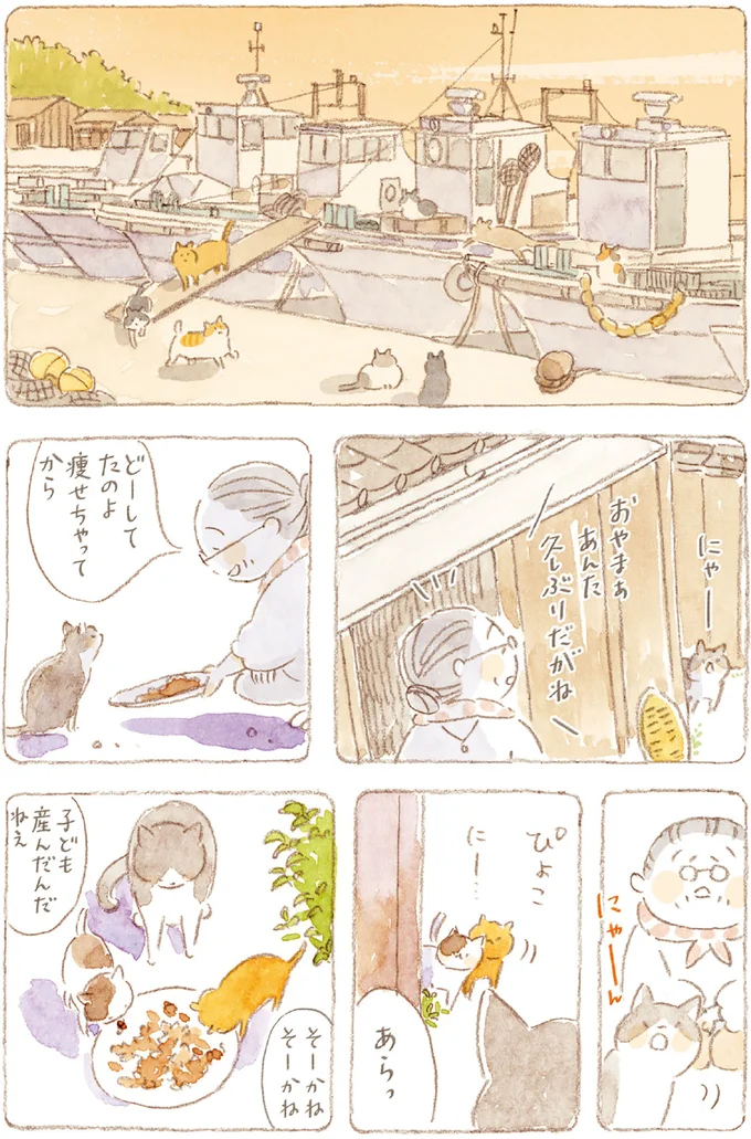 『ねことじいちゃん』6～11 15749865.webp