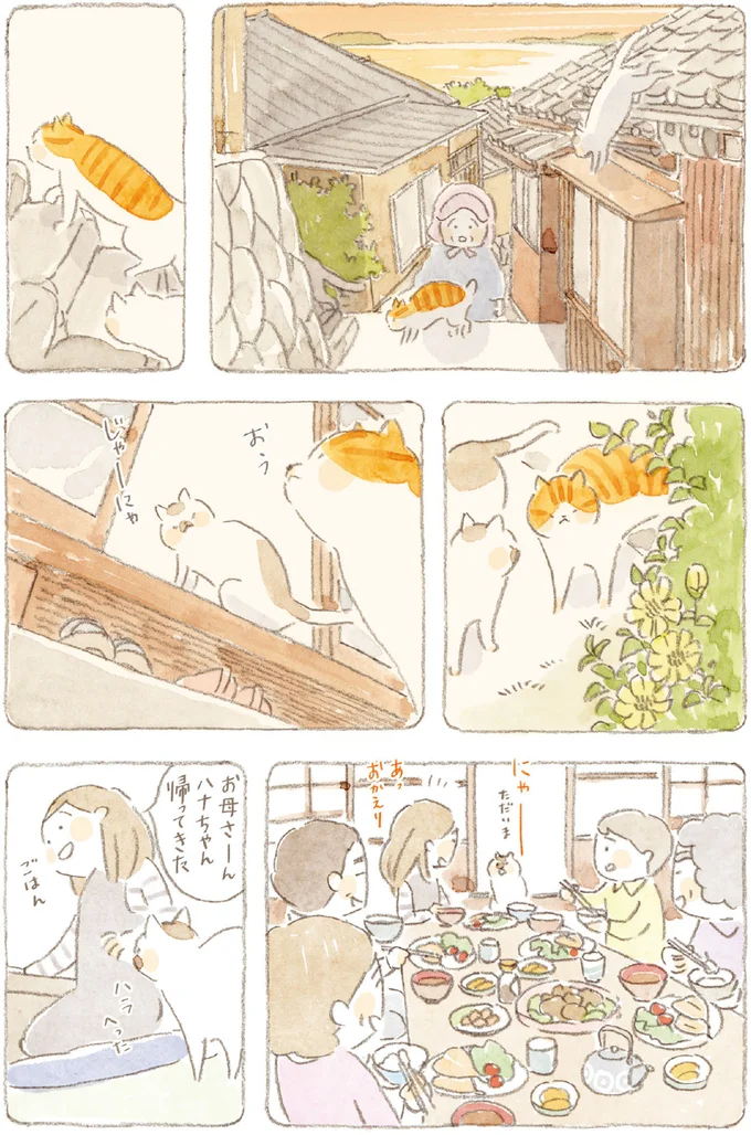 『ねことじいちゃん』6～11 15749867.webp