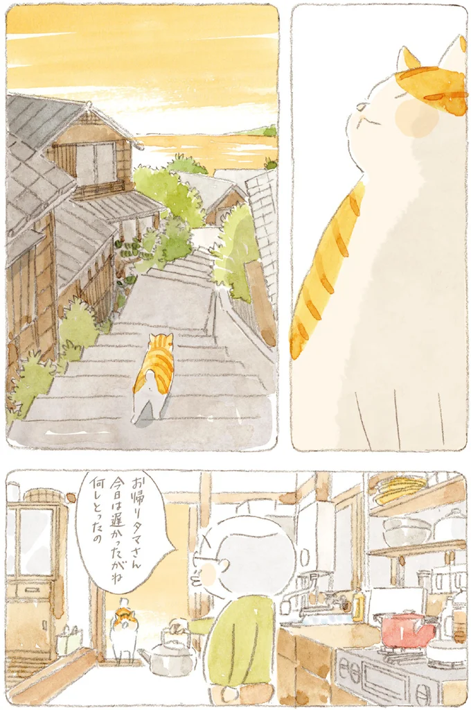 『ねことじいちゃん』6～11 15749869.webp