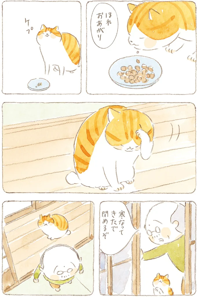 『ねことじいちゃん』6～11 15749870.webp