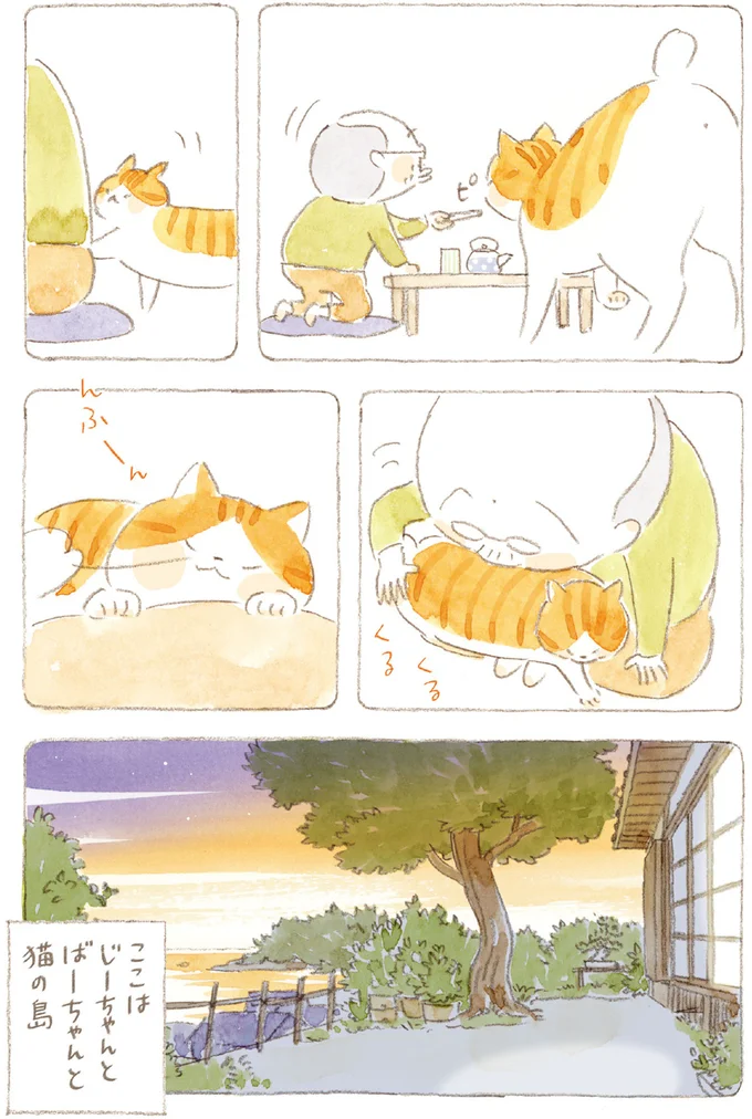 『ねことじいちゃん』6～11 15749871.webp