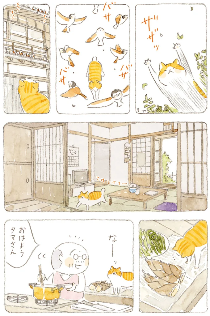 『ねことじいちゃん』6～11 15749903.webp