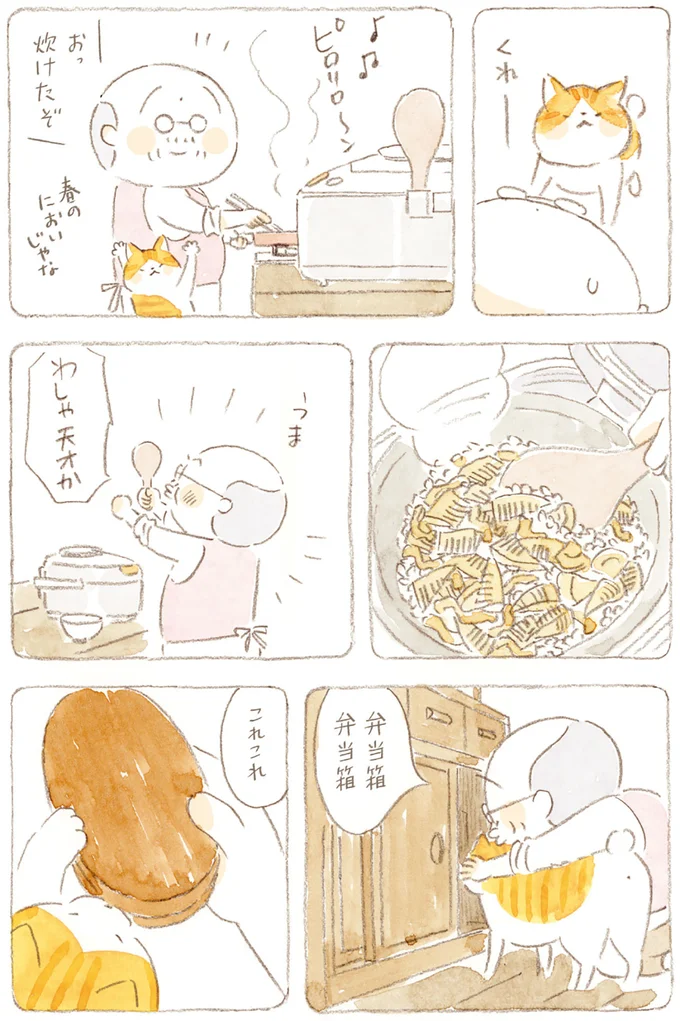 『ねことじいちゃん』6～11 15749905.webp