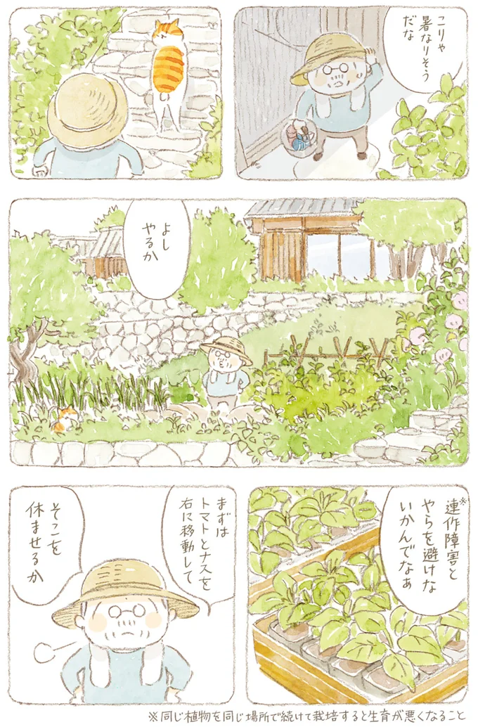 『ねことじいちゃん』6～11 15749921.webp