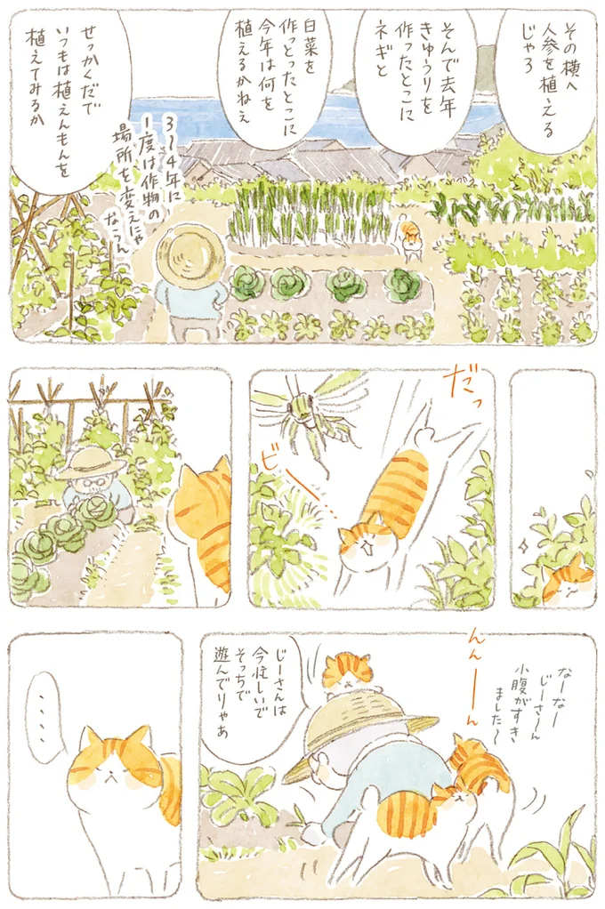 『ねことじいちゃん』6～11 15749922.webp