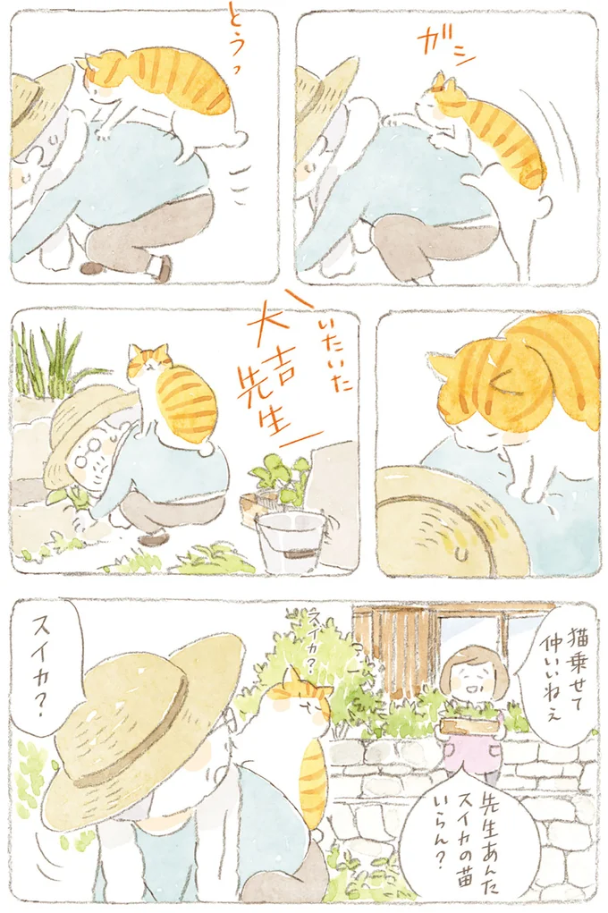 『ねことじいちゃん』6～11 15749923.webp
