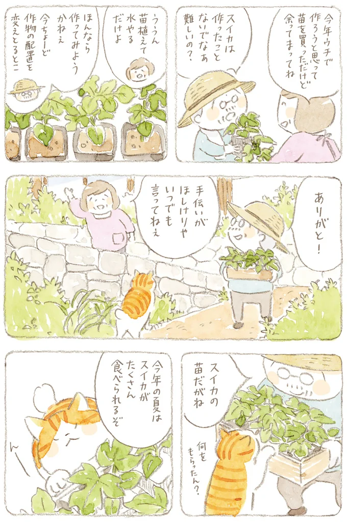 『ねことじいちゃん』6～11 15749924.webp