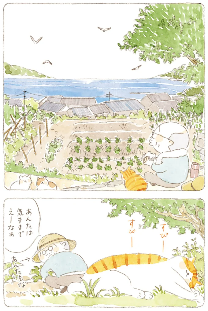 『ねことじいちゃん』6～11 15749926.webp