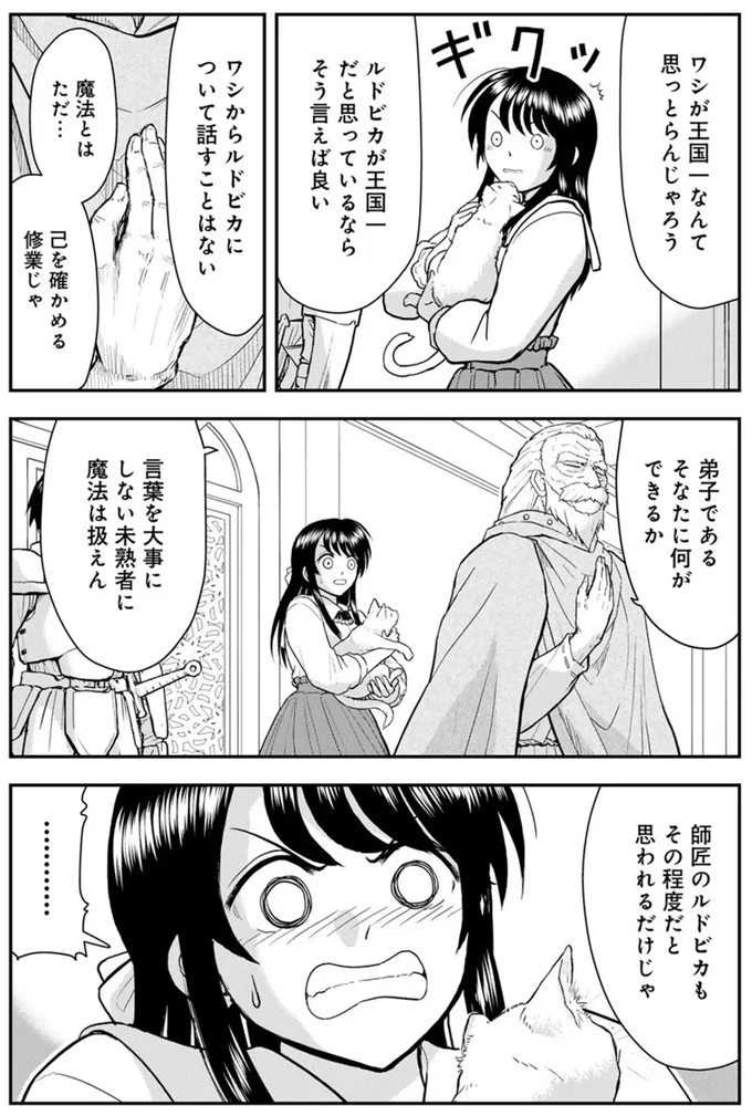 『王が猫になった』 15751094.webp