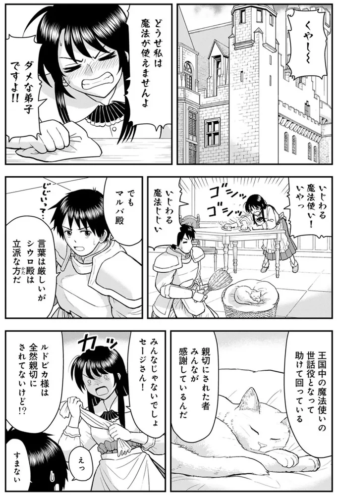 『王が猫になった』 15751096.webp