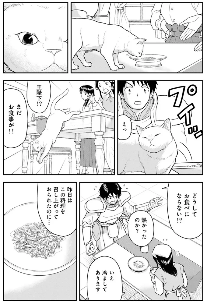 『王が猫になった』 15751106.webp