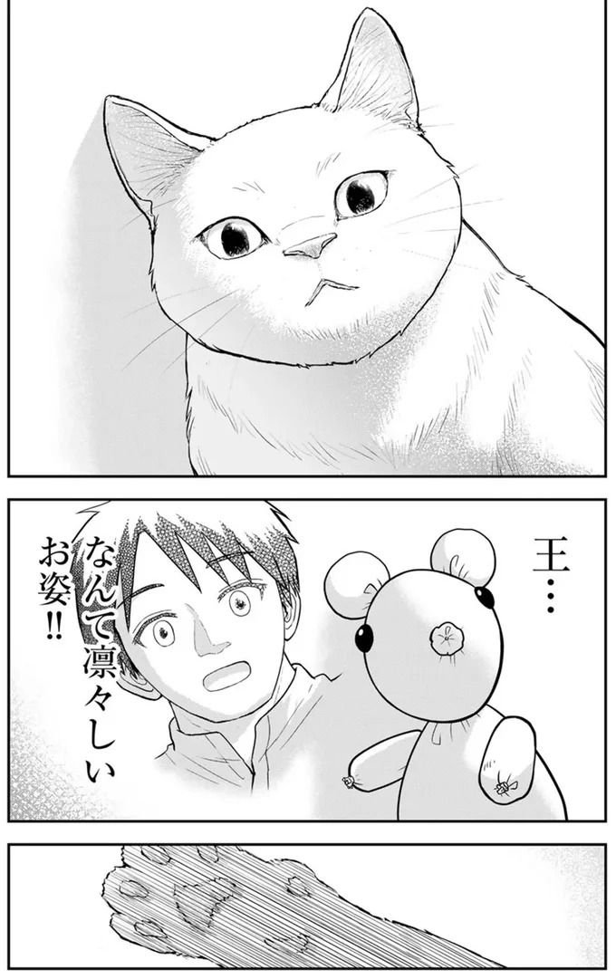 『王が猫になった』 15751180.webp
