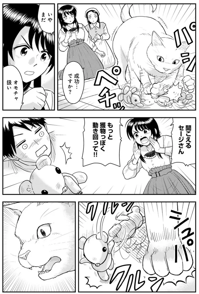 『王が猫になった』 15751182.webp