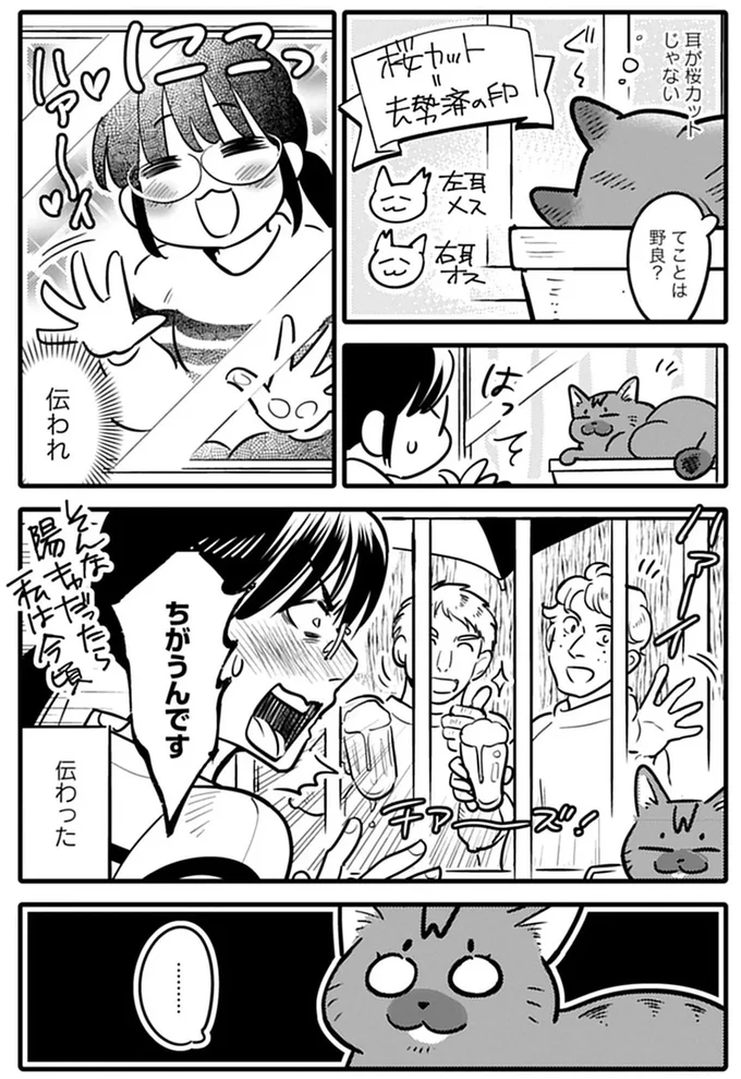 野良猫を保護し、幸せに過ごすための奮闘記。夫と別居する女性と猫の運命の出会いは...／ブリちゃん日記 15751396.webp