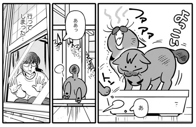 野良猫を保護し、幸せに過ごすための奮闘記。夫と別居する女性と猫の運命の出会いは...／ブリちゃん日記 15751397.webp