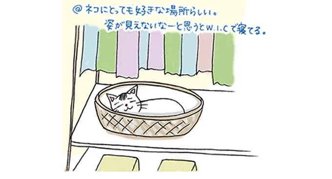 無駄遣いの防止にも!? 衣類を一か所に集めて把握するメリット／なんにもない部屋の暮らしかた 15762257.webp