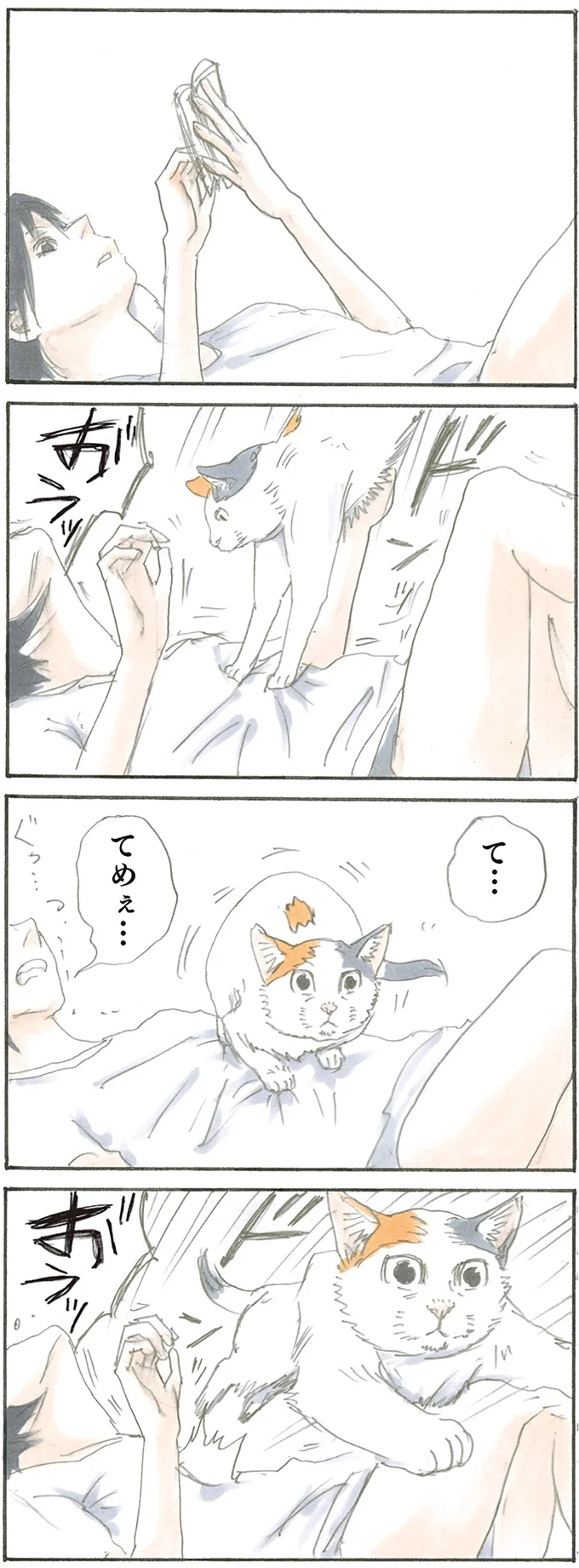 リラックスしていたら猫が!? 飼い主が悲鳴を上げた「ドスッ」からの「ドンッ」／拾い猫のモチャ1 15766415.webp