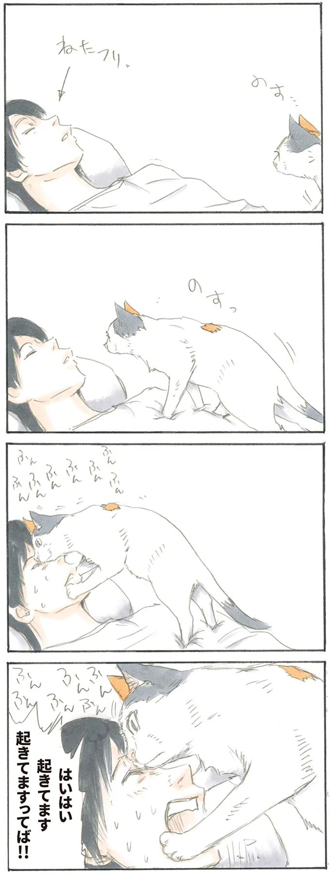 リラックスしていたら猫が!? 飼い主が悲鳴を上げた「ドスッ」からの「ドンッ」／拾い猫のモチャ1 15766417.webp