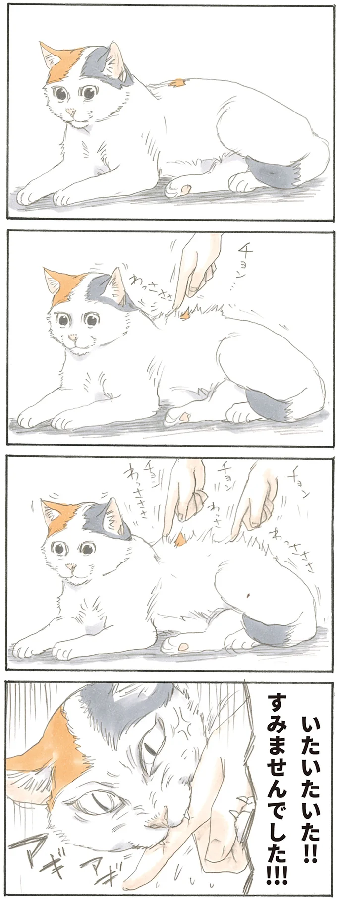 リラックスしていたら猫が!? 飼い主が悲鳴を上げた「ドスッ」からの「ドンッ」／拾い猫のモチャ1 15766420.webp