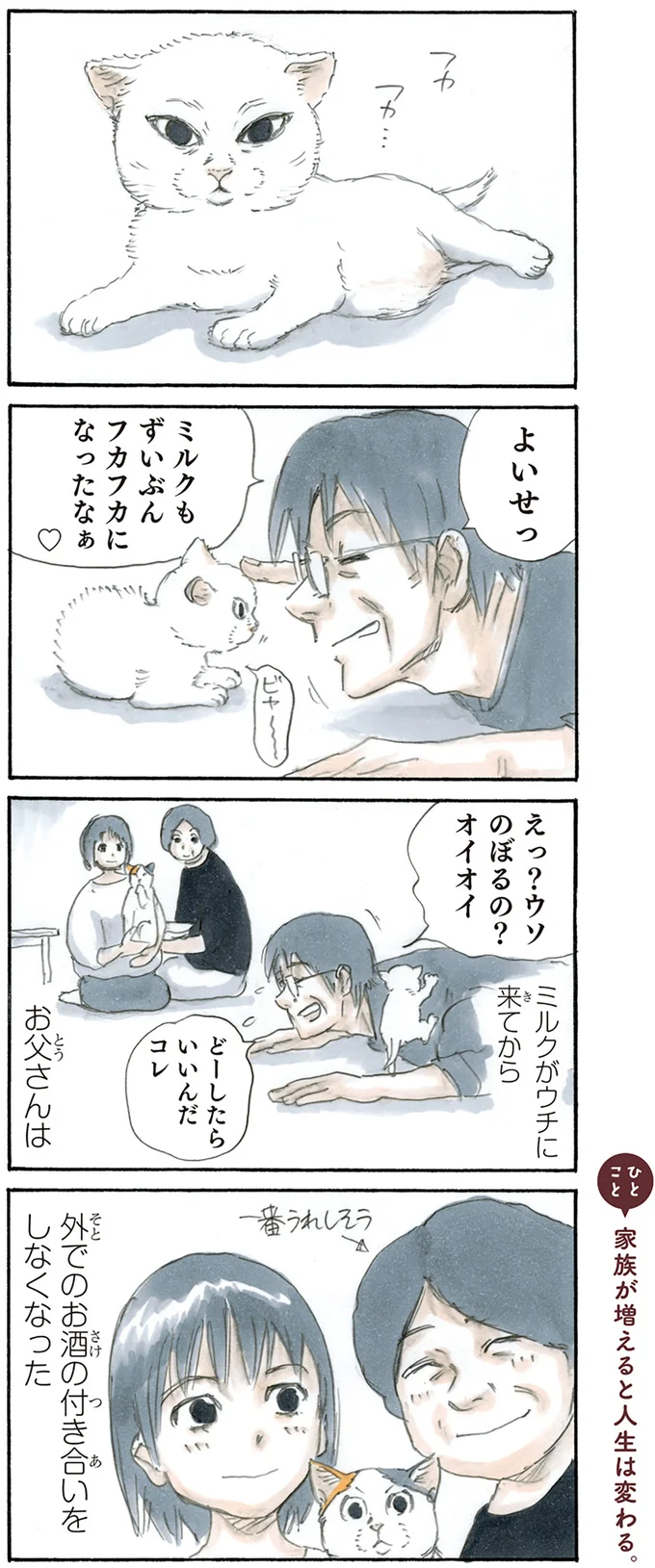 『拾い猫のモチャ1～8』 15767600.webp