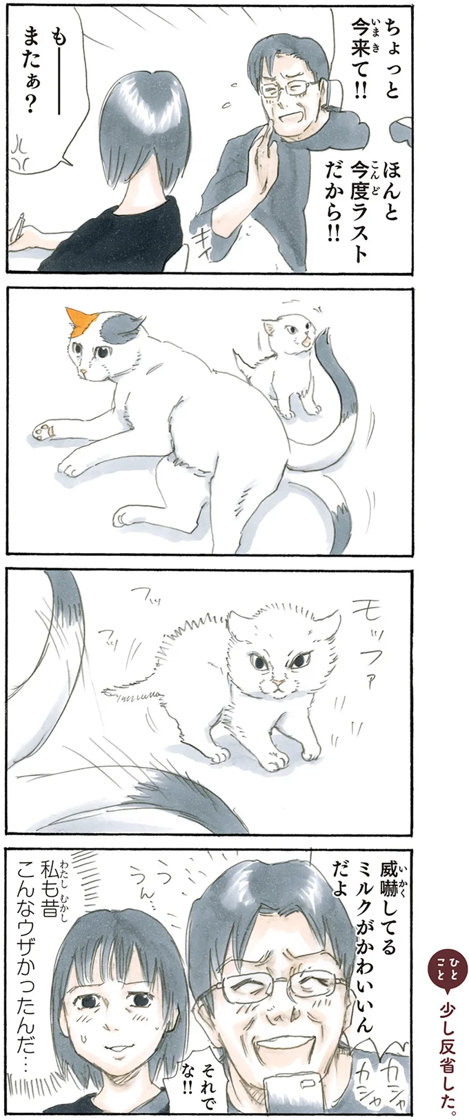 『拾い猫のモチャ1～8』 15767602.webp