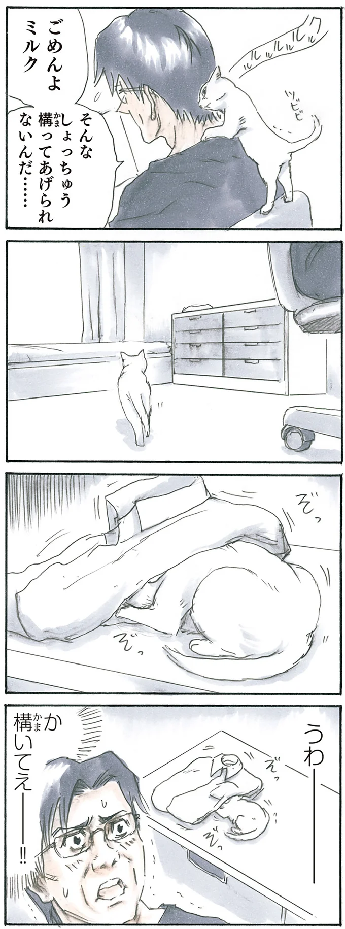 『拾い猫のモチャ1～8』 15767789.webp