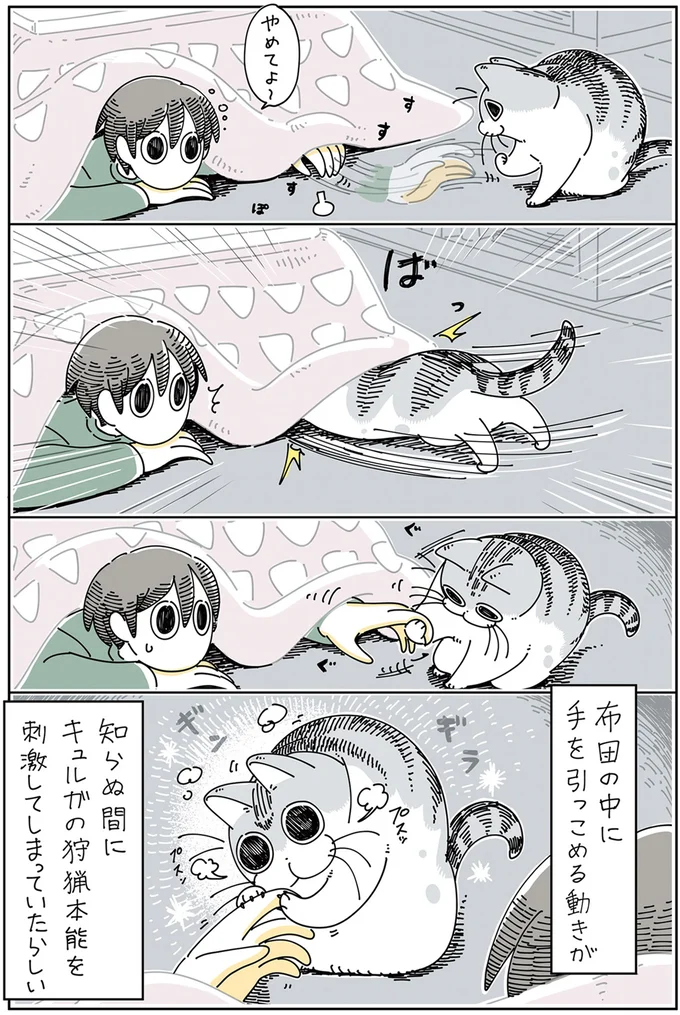 『夜は猫といっしょ』1～3 15776961.webp