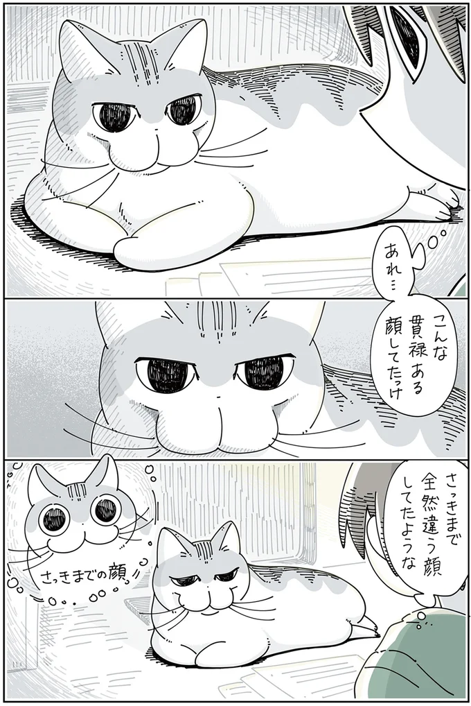『夜は猫といっしょ』1～3 15776965.webp