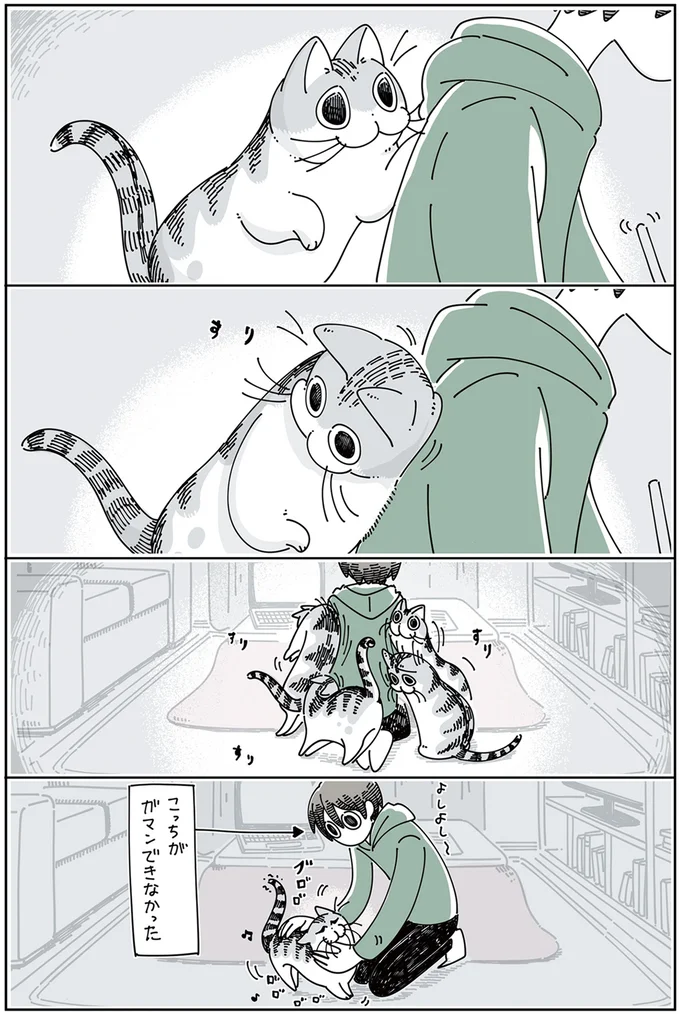 『夜は猫といっしょ』1～3 15776982.webp